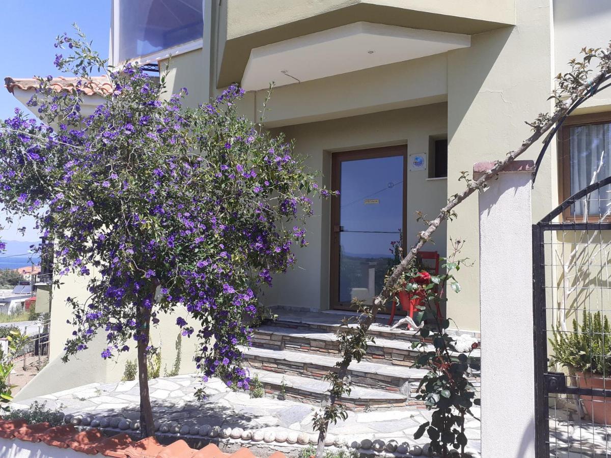Apartment Despoina Meletiadou